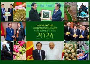 10 dấu ấnnổi bật của ng&agrave;nh n&ocirc;ng nghiệpph&aacute;t triển n&ocirc;ng th&ocirc;n năm 2024