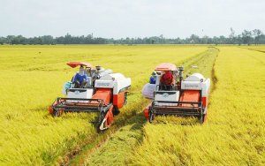 Ph&aacute;t triển d&ograve;ng sản phẩm l&uacute;a gạo th&iacute;ch nghi v&ugrave;ng sinh th&aacute;i v&agrave; thị trường cho v&ugrave;ng đồng bằng s&ocirc;ng Cửu Long
