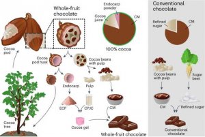 Chocolate khai th&aacute;c tối đa tiềm năng của tr&aacute;i cacao