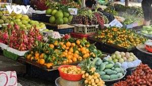 Ng&agrave;nh rau củ quả Việt Nam giao thương trực tiếp để tăng gi&aacute; trị xuất khẩu