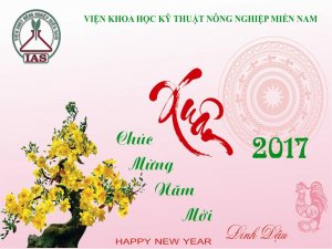 CHÚC MỪNG MĂM MỚI