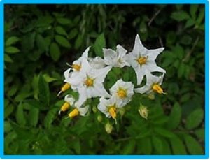 Tuần tin khoa học 569 (12-18/02/2018)