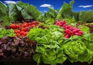 Sử dụng phương ph&aacute;p bảo quản sinh học để l&agrave;m giảm Listeria monocytogenes trong rau quả tươi
