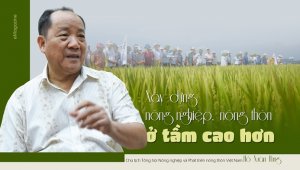 X&acirc;y dựng n&ocirc;ng nghiệp, n&ocirc;ng th&ocirc;n ở tầm cao hơn