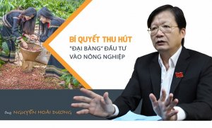 B&iacute; quyết thu h&uacute;t "đại b&agrave;ng" đầu tư v&agrave;o n&ocirc;ng nghiệp