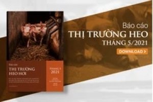 Thị trường heo hơi qu&yacute; II/2021: Ng&agrave;nh chăn nu&ocirc;i to&agrave;n cầu chưa thể tho&aacute;t khỏi hoạ đại dịch