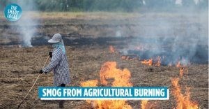 Dập tắt tập qu&aacute;n đốt đồng, thủ phạm tạo ra carbon đen 