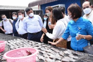 Tham khảo một số ch&iacute;nh s&aacute;ch hỗ trợ ph&aacute;t triển HTX n&ocirc;ng nghiệp tại Th&aacute;i Lan