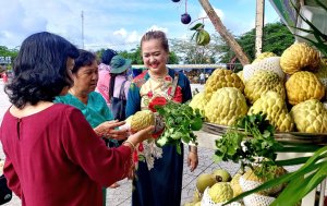 Xuất khẩu n&ocirc;ng sản: Cần l&agrave;m g&igrave; để nối d&agrave;i đ&agrave; thắng?