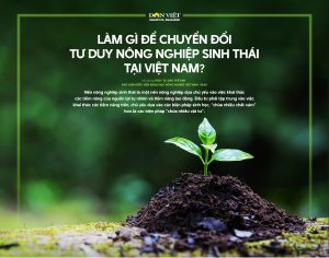 L&agrave;m g&igrave; để chuyển đổi tuy duy n&ocirc;ng nghiệp sinh th&aacute;i tại Việt Nam