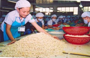 Ng&agrave;nh điều bất ngờ nhập si&ecirc;u sau 16 năm li&ecirc;n tục xuất si&ecirc;u