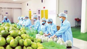 Ng&agrave;nh N&ocirc;ng nghiệp chủ động, th&iacute;ch ứng trong bối cảnh mới