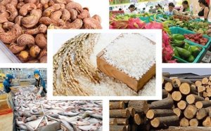 Xuất khẩu n&ocirc;ng sản Việt Nam năm 2018 vượt kỷ lục 40 tỷ USD