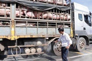 Gi&aacute; heo hơi ng&agrave;y 7/12: Tiếp tục nh&iacute;ch nhẹ từng ng&agrave;y?