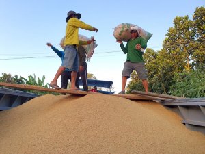 N&acirc;ng chất sản phẩm để tiếp đ&agrave; kỷ lục xuất khẩu ng&agrave;nh n&ocirc;ng nghiệp
