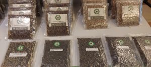 Nguồn cung giảm, gi&aacute; hồ ti&ecirc;u tiếp tục tăng