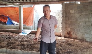 M&ocirc; h&igrave;nh kinh tế tuần ho&agrave;n: Hướng đi của chăn nu&ocirc;i hiện đại