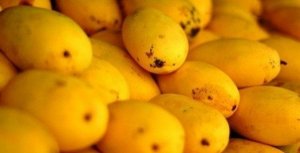  Nghi&ecirc;n cứu ứng dụng c&ocirc;ng nghệ xử l&yacute; ch&iacute;n tr&aacute;i c&acirc;y (chuối, xo&agrave;i, hồng xi&ecirc;m, sầu ri&ecirc;ng, m&iacute;t, đu đủ) bằng h&oacute;a chất an to&agrave;n