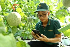 Ứng dụng c&ocirc;ng nghệ trong thu thập th&ocirc;ng tin, dự b&aacute;o thị trường n&ocirc;ng sản