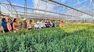 Th&uacute;c đẩy ph&aacute;t triển n&ocirc;ng nghiệp hữu cơ, tuần ho&agrave;n trong trồng trọt
