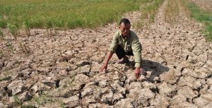 99,9% nghi&ecirc;n cứu khoa học đồng thuận về nguy&ecirc;n nh&acirc;n g&acirc;y ra biến đổi kh&iacute; hậu