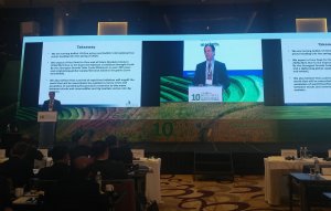 Năm 2019 bắt đầu chu kỳ tăng gi&aacute; gạo