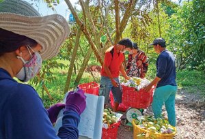 Tận dụng tốt lợi thế từ c&aacute;c FTA: C&ugrave;ng phải thay đổi