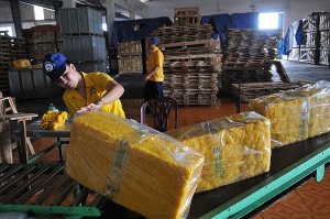 Xuất khẩu cao su tăng cao trong 5 th&aacute;ng đầu năm 2021