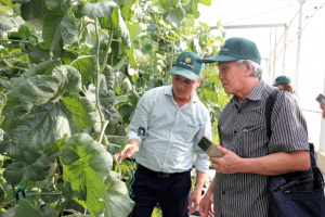 Chứng nhận chất lượng sản phẩm: Những bất cập v&agrave; giải ph&aacute;p?
