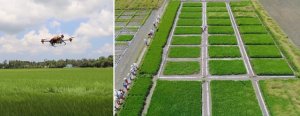 N&ocirc;ng nghiệp phải l&agrave; ng&agrave;nh kinh tế c&oacute; lợi thế chiến lược của quốc gia