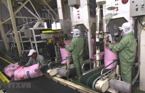 N&ocirc;ng, l&acirc;m, thủy sản xuất si&ecirc;u 7,9 tỷ USD trong 10 th&aacute;ng qua