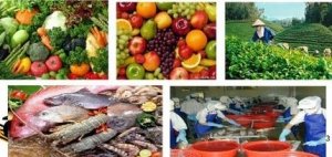  Nhiều đề tài, dự án công nghệ sau thu hoạch giúp nâng cao giá trị nông sản