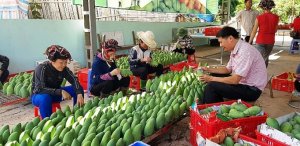 CTPPP: Nhận diện cơ hội v&agrave; th&aacute;ch thức cho n&ocirc;ng sản Việt