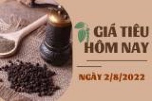 Thị trường hồ ti&ecirc;u qu&yacute; II/2022: Sức mua giảm s&uacute;t, thị trường đối mặt với tương lai bất định