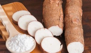 Nghi&ecirc;n cứu biện ph&aacute;p ph&ograve;ng trừ tổng hợp rệp s&aacute;p bột hồng (Phenacoccus Manihoti Matile- Ferrero) hại sắn tại Ph&uacute; Y&ecirc;n v&agrave; c&aacute;c tỉnh Duy&ecirc;n Hải Nam Trung Bộ