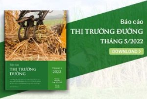 Thị trường đường qu&yacute; II/2022: Kết th&uacute;c ni&ecirc;n vụ 2021-2022, đường nội bế tắc đầu ra v&igrave; đường nhập khẩu