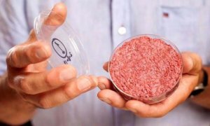 Thịt nh&acirc;n tạo - Giải ph&aacute;p giảm ph&aacute;t thải CO2 trong n&ocirc;ng nghiệp