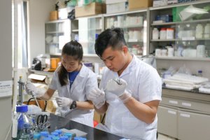 Dự &aacute;n giải m&atilde; 600 giống l&uacute;a Việt Nam: Mới chỉ l&agrave; bước khởi đầu