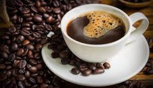Trồng c&agrave; ph&ecirc; kh&ocirc;ng chứa caffein