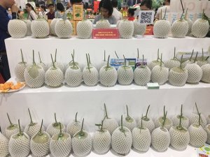 Khi ti&ecirc;u chuẩn trở th&agrave;nh &ldquo;người dẫn đường&rdquo; cho n&ocirc;ng nghiệp hữu cơ