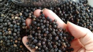 Gi&aacute; ti&ecirc;u h&ocirc;m nay 10/5: Tiếp đ&agrave; tăng, gi&aacute; ti&ecirc;u tiến gần mốc 80.000 đồng/kg