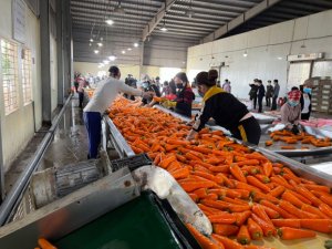 &ldquo;Hộ chiếu&rdquo; để n&ocirc;ng sản Việt c&oacute; chỗ đứng bền vững tại thị trường EU