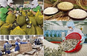 Xuất khẩu n&ocirc;ng, l&acirc;m, thủy sản phấn đấu đạt 100 tỷ USD 