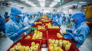Yếu tố n&agrave;o cần quan t&acirc;m sau th&agrave;nh c&ocirc;ng của XK rau quả?