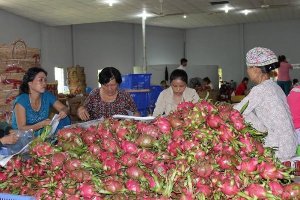 Xuất khẩu rau quả ba th&aacute;ng đầu năm đạt gần 1 tỉ đ&ocirc; la Mỹ, tăng 6,1%