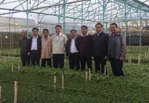 Đ&agrave; Lạt: Chong đ&egrave;n Led cho hoa c&uacute;c mang lại hiệu quả kinh tế lớn