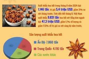 C&acirc;y hồi - c&acirc;y gia vị "b&aacute;u vật" của Việt Nam