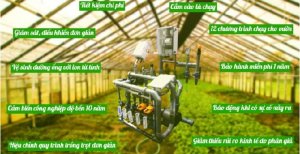 Giải ph&aacute;p n&ocirc;ng nghiệp c&ocirc;ng nghệ cao thuần Việt: Hệ thống tưới v&agrave; ch&acirc;m ph&acirc;n tự động
