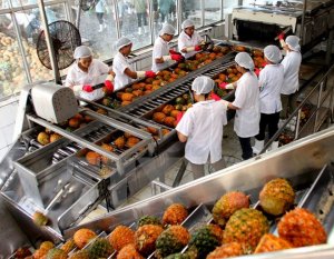 Xuất khẩu rau, quả trong năm th&aacute;ng đầu năm ước đạt hơn 1 tỷ USD