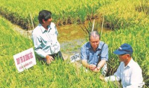 100 năm hạt ngọc ch&acirc;u thổ